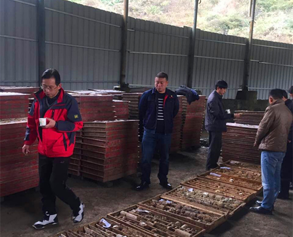 1491014670192509.jpg mmexport1479345443753_副本.jpg