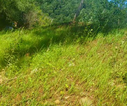 柳關(guān)欒盧鉛鋅礦|治理排土“瘡疤”，繪就綠色畫卷